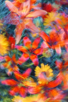A vibrant and colorful abstract composition featuring various flowers with overlapping petals. The image displays a mix of orange, red, and yellow blooms, creating a dynamic and lively pattern. The background consists of green foliage that enhances the brightness and contrast of the flowers.