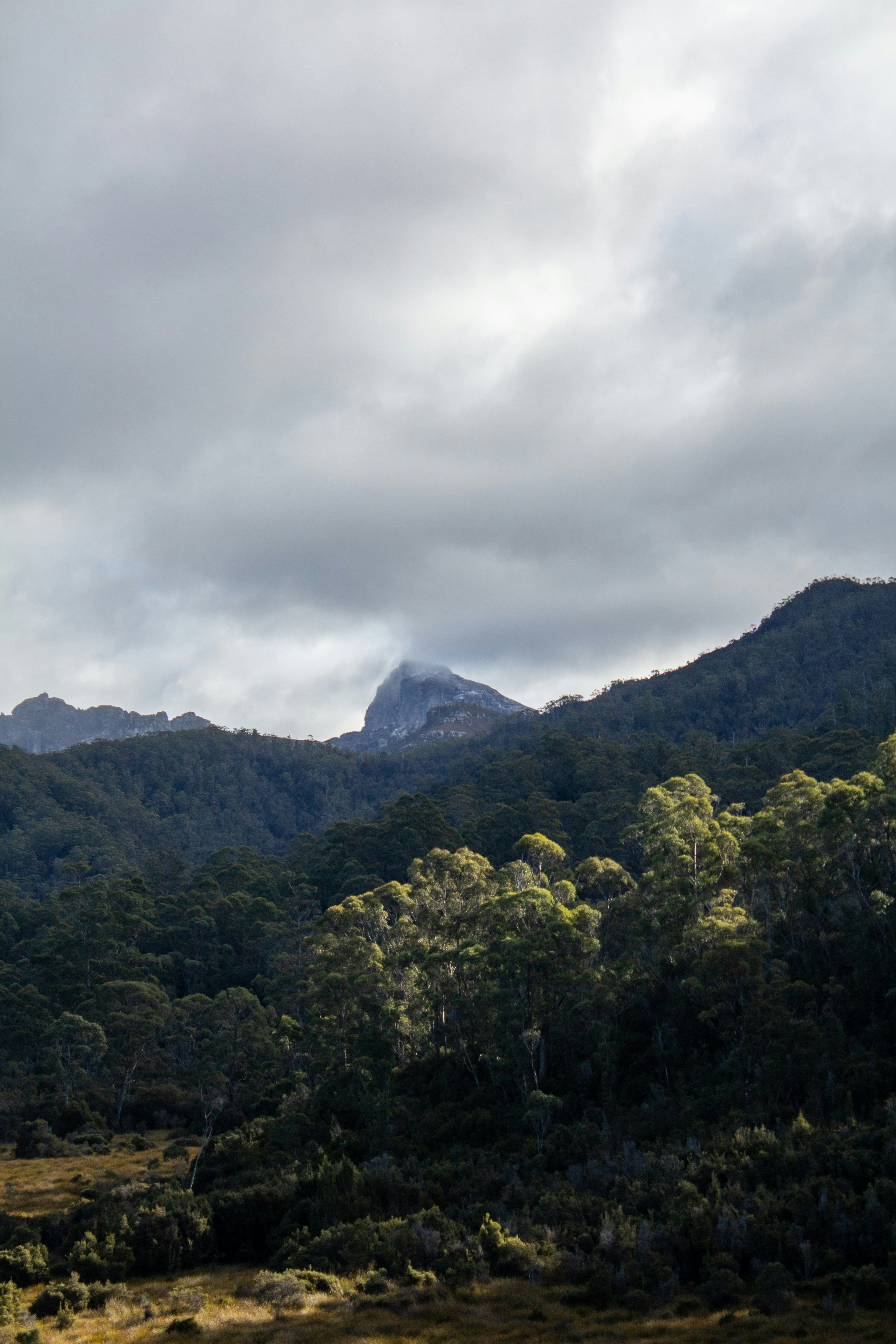 a view of a mountain range with trees in the foreground