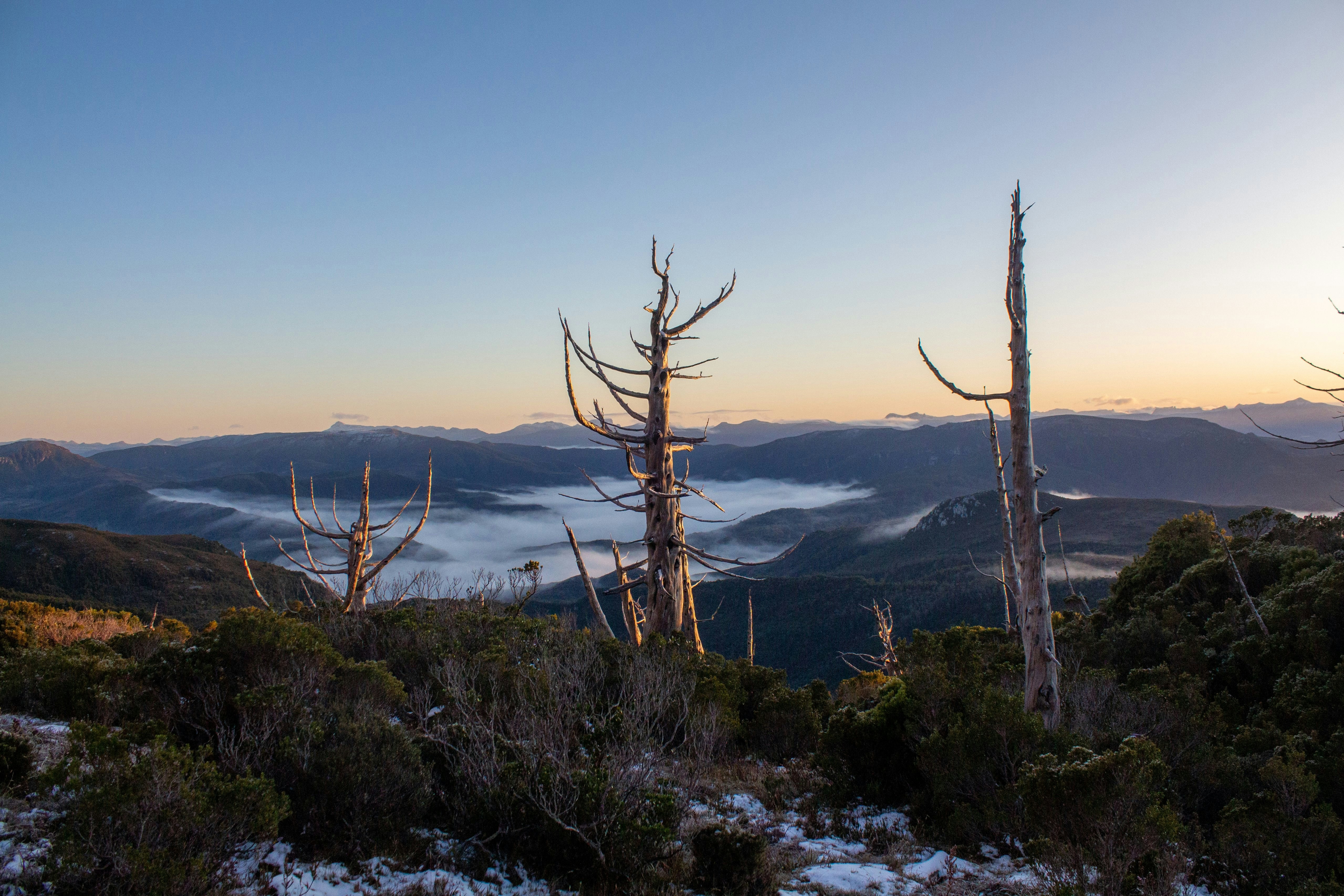 a view of a mountain range with fog in the distance