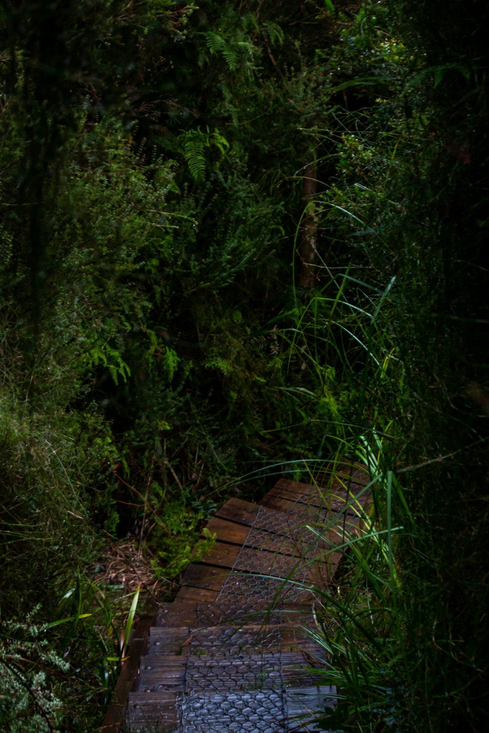 a wooden bench sitting in the middle of a forest