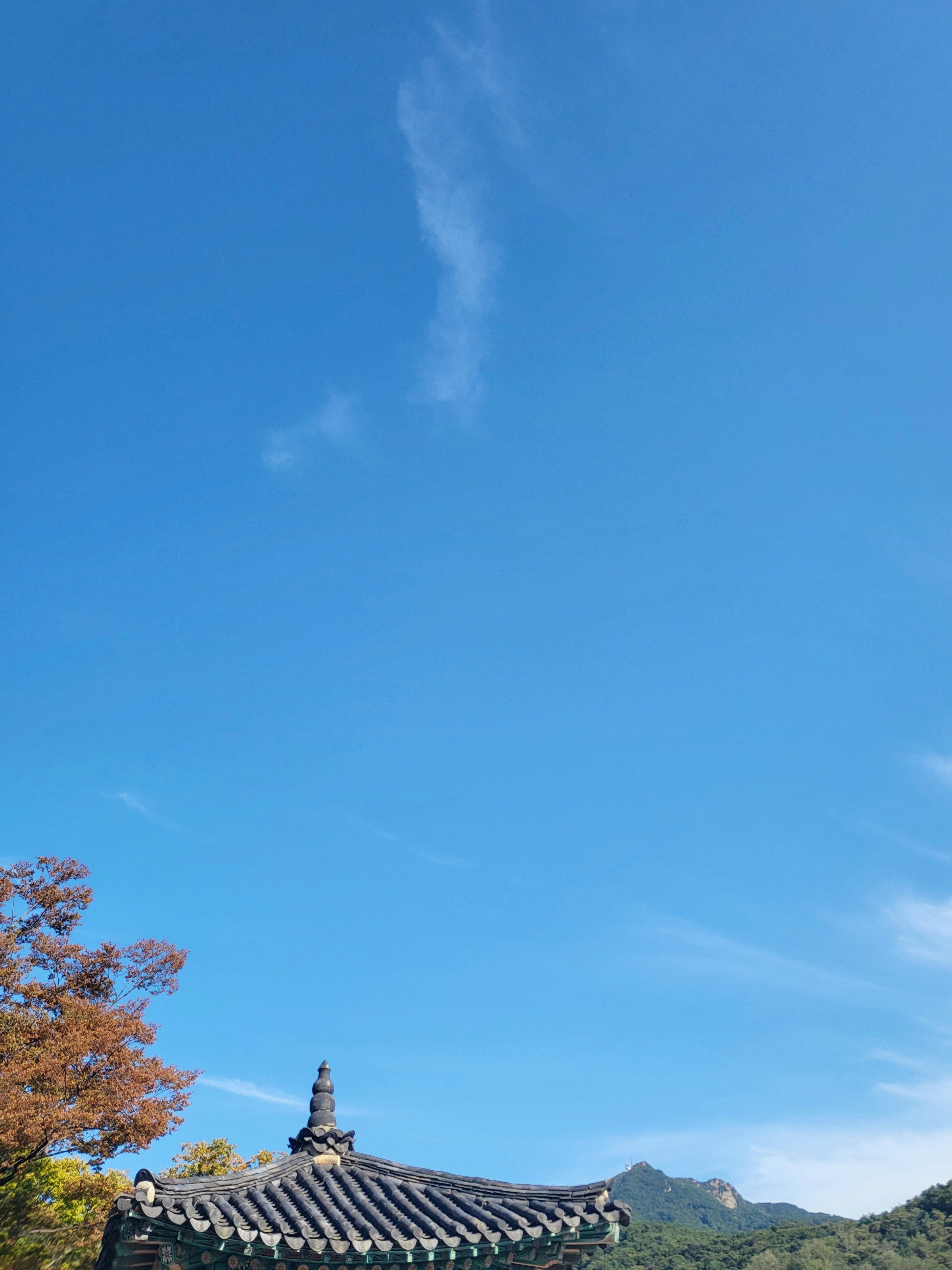 Photo by lightdaybreak