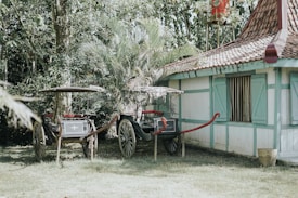 Two traditional horse-drawn carriages are parked on a grassy area next to a rustic building with a tiled roof and turquoise window shutters. A large palm plant partially obscures the carriages, and trees with dense foliage form a natural backdrop.