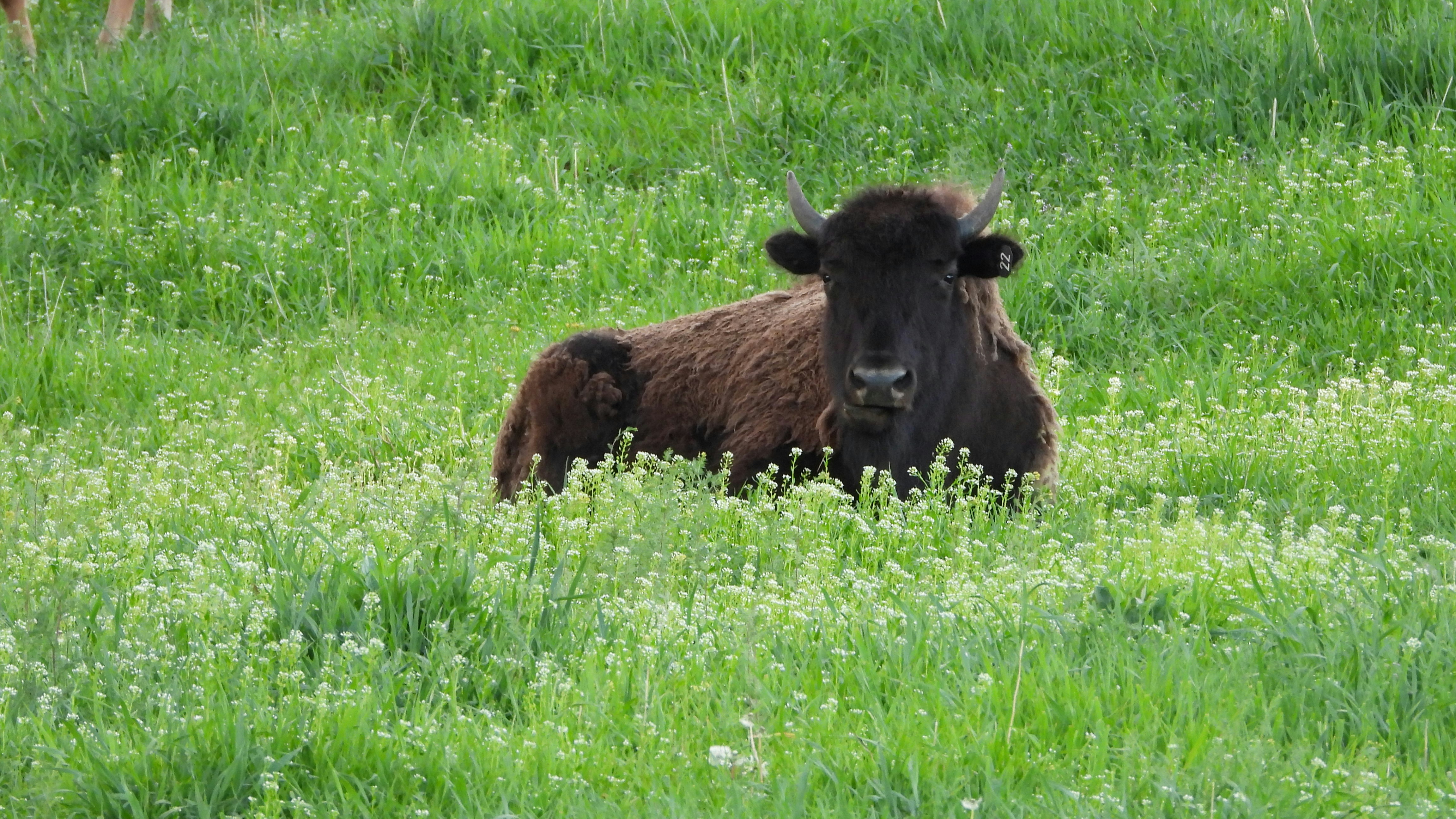 Photo by evergreene24