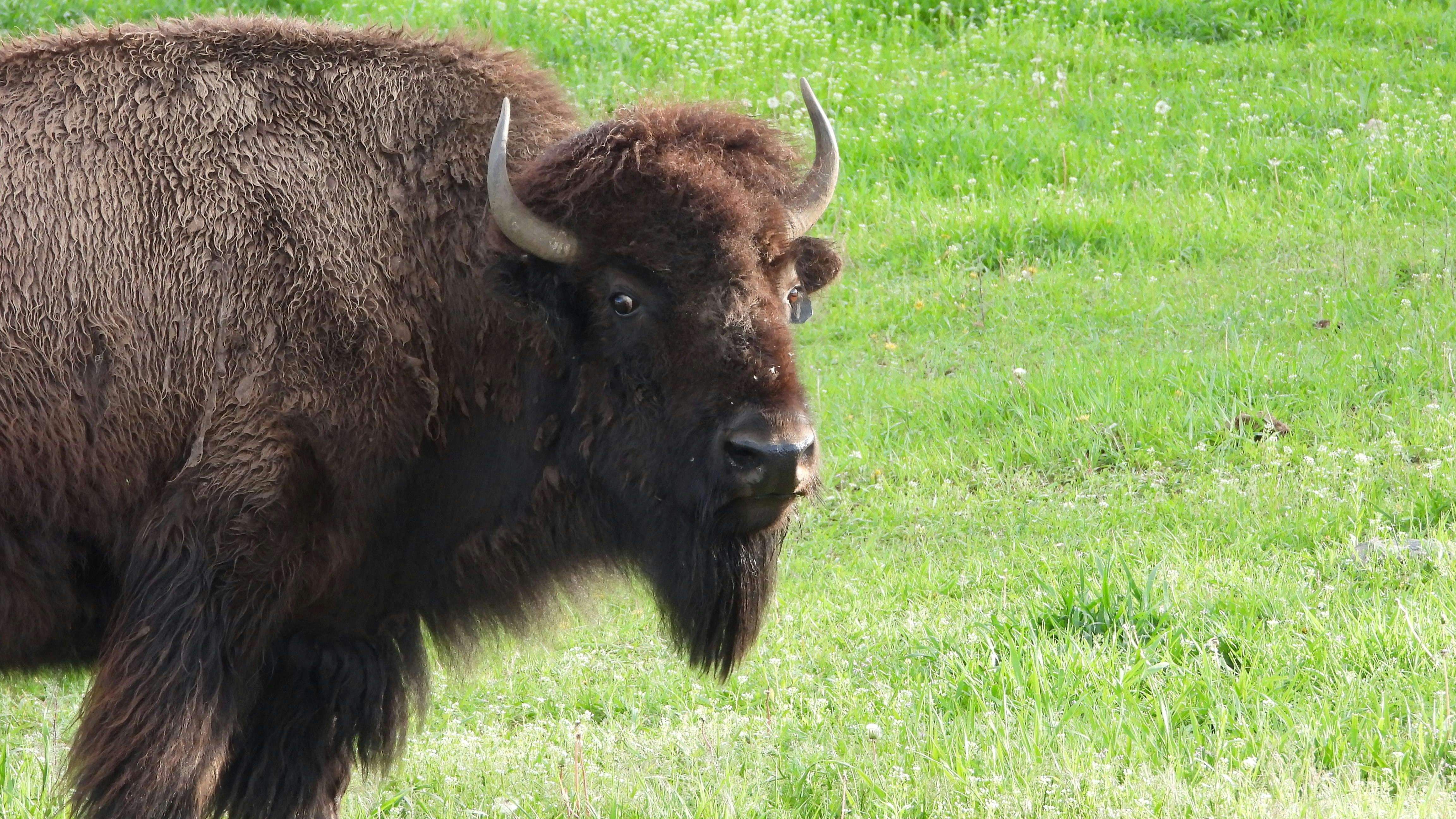 Photo by evergreene24