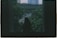 A silhouette of a person is seen sitting on a windowsill with their hands placed on the ledge. The window opens to an outside view of dense green foliage and a partially visible building structure in the background.