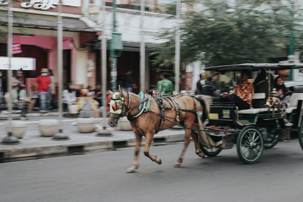 a horse pulling a carriage down a street