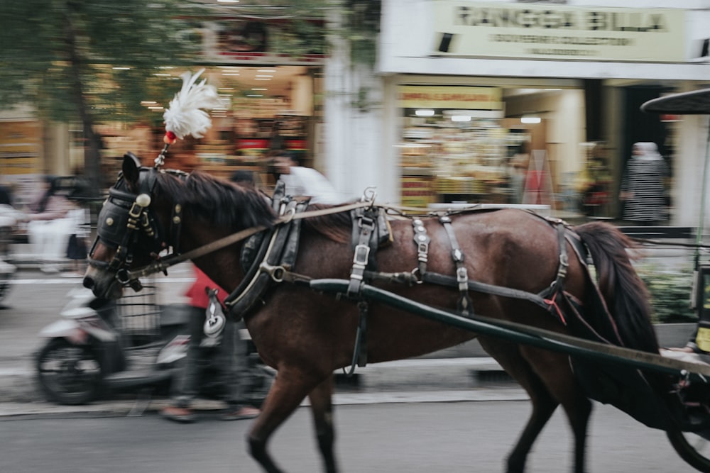a brown horse pulling a carriage down a street