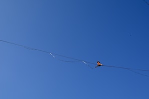 A young student balancing on a tightrope with focused determination in a bright, colorful studio.