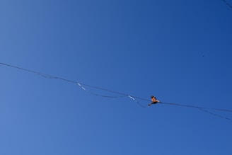 A young student balancing on a tightrope with focused determination in a bright, colorful studio.