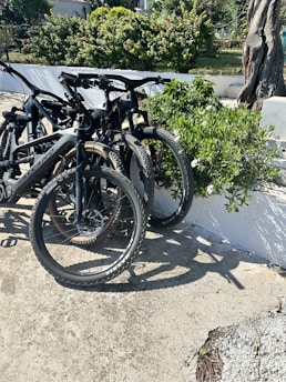 Several mountain bikes are parked closely together against a white wall with lush green bushes and a tree nearby. The location appears to be outdoors with a sunny atmosphere as shadows are cast on the pavement.