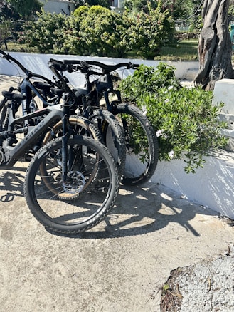 Several mountain bikes are parked closely together against a white wall with lush green bushes and a tree nearby. The location appears to be outdoors with a sunny atmosphere as shadows are cast on the pavement.
