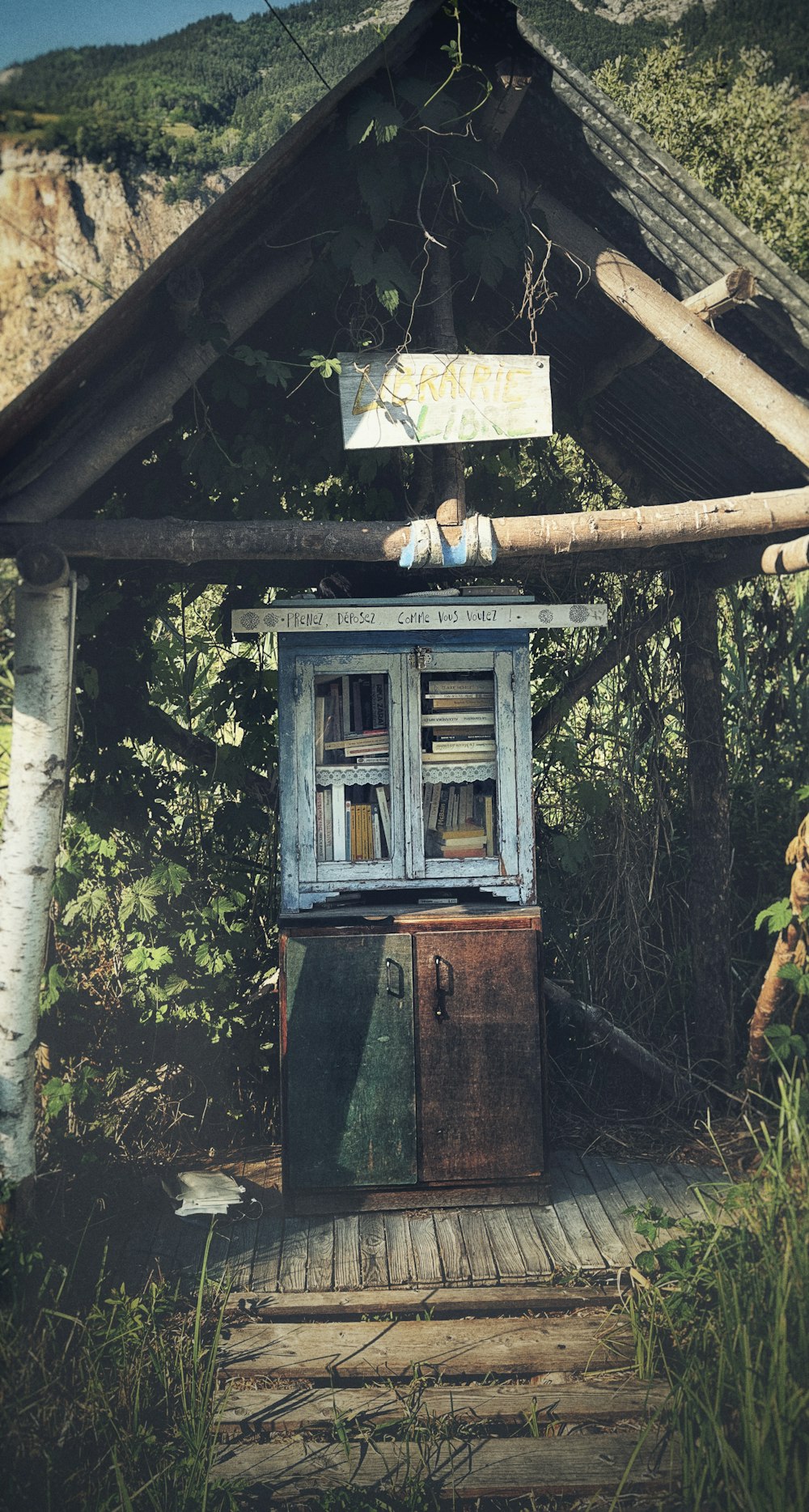 a book shelf sitting in the middle of a forest