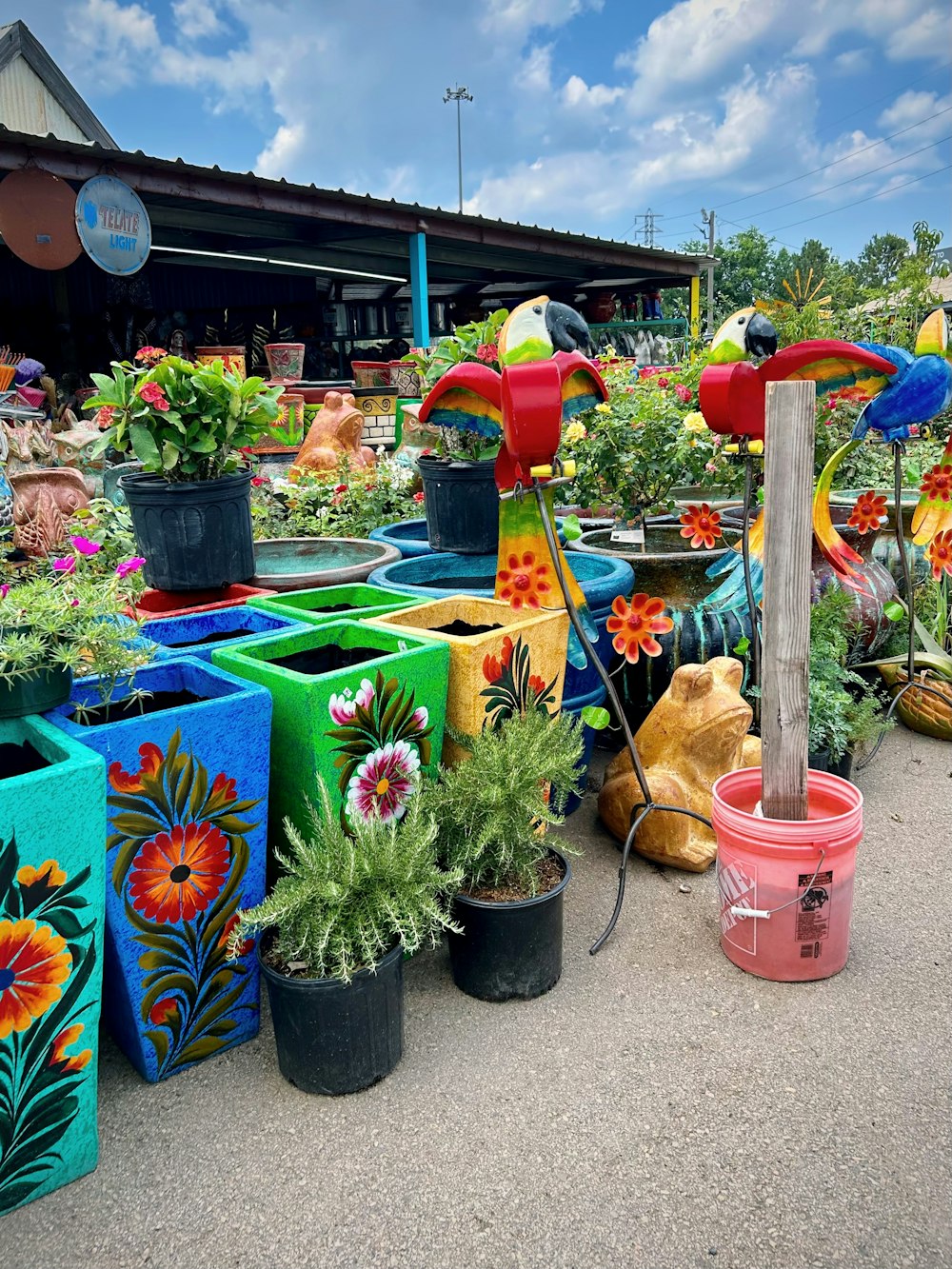 a bunch of potted plants that are on the ground