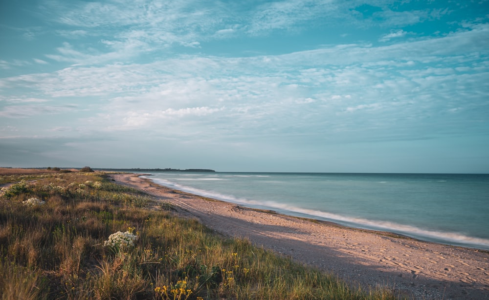 a sandy beach next to the ocean under a blue sky