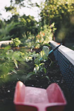 Close-up of soil moisture sensor in a lush garden bed.