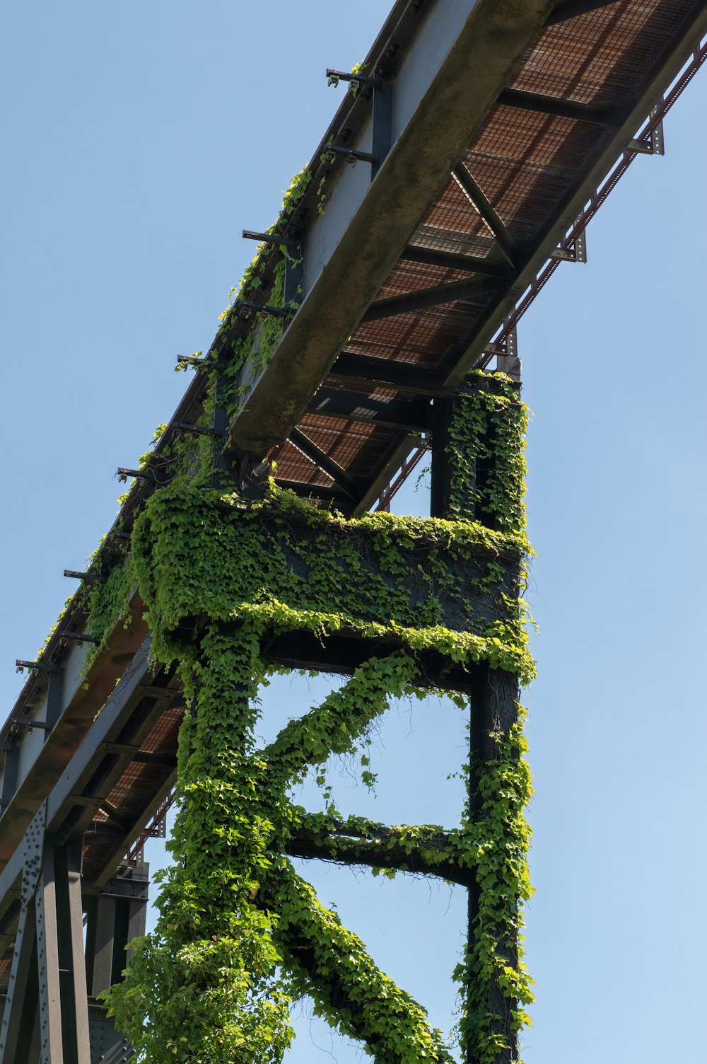 a very tall bridge with a bunch of plants growing on it