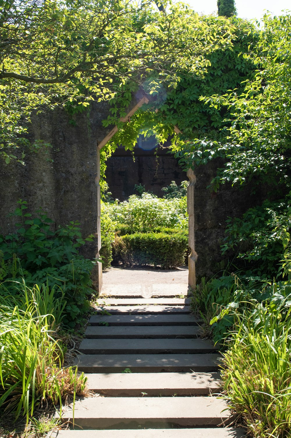 a set of steps leading into a garden