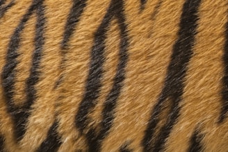 Close-up of a neoprene desk mat featuring a detailed tiger design with rich colors and texture