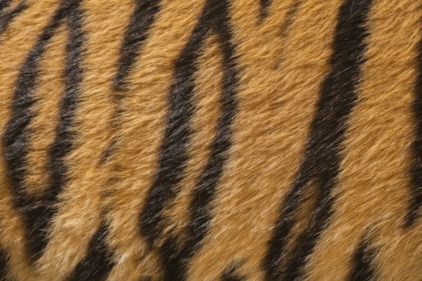 Close-up of a neoprene desk mat featuring a detailed tiger design with rich colors and texture