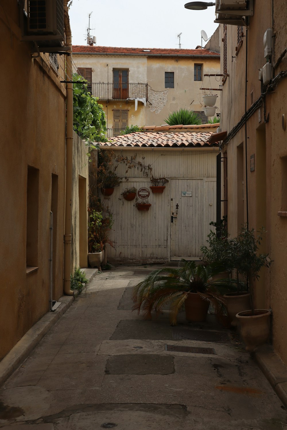 a narrow alley way with potted plants on either side