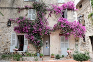 A charming stone house adorned with vibrant pink flowers, likely bougainvillea, cascading over the facade. The building has white shutters and multiple potted plants near the entrance. Outside, a small table with a red-checkered cloth is surrounded by wooden chairs. The ambiance suggests a cozy bed and breakfast or café.