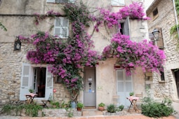 a building with purple flowers growing on the side of it