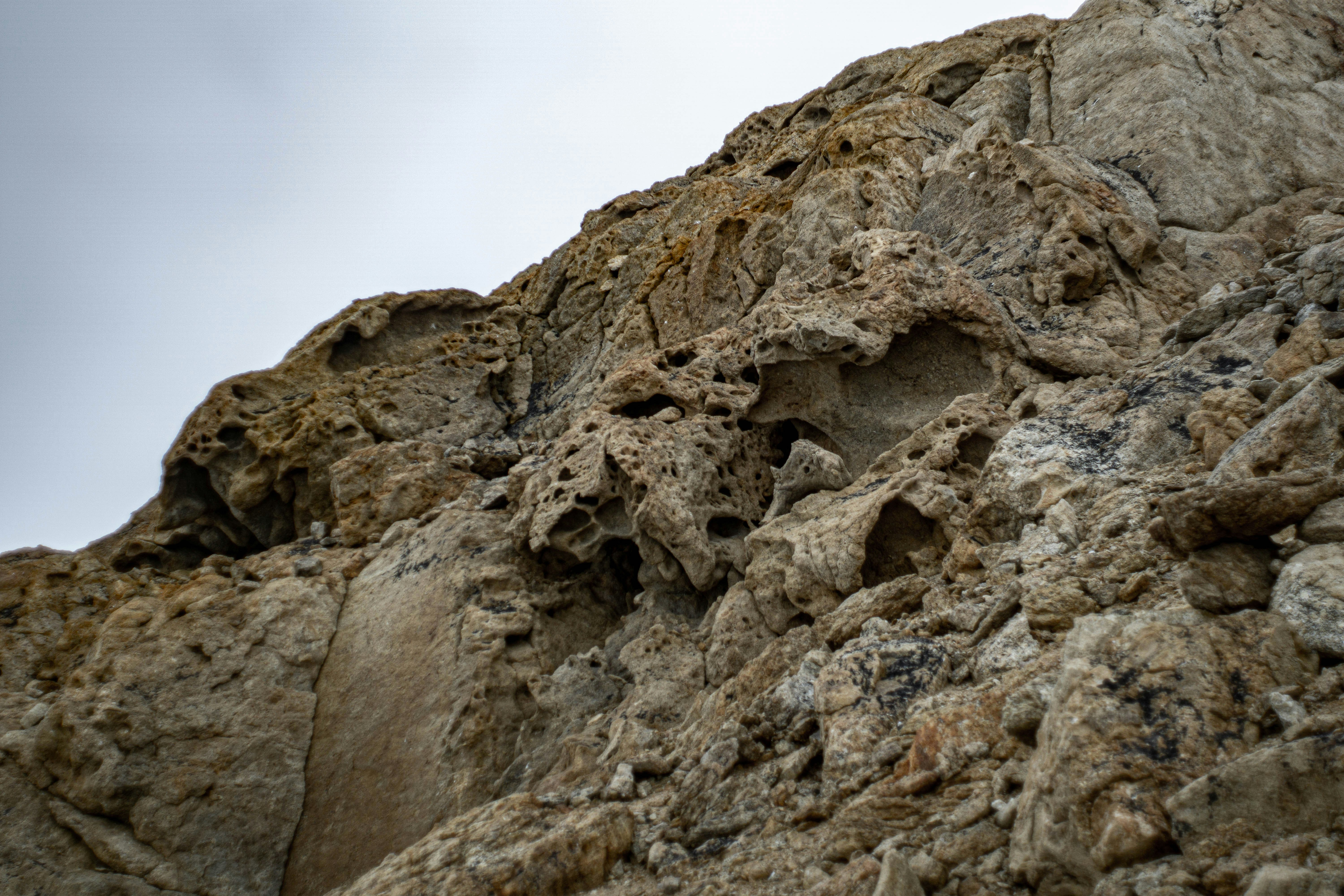 a bird sitting on top of a rocky cliff