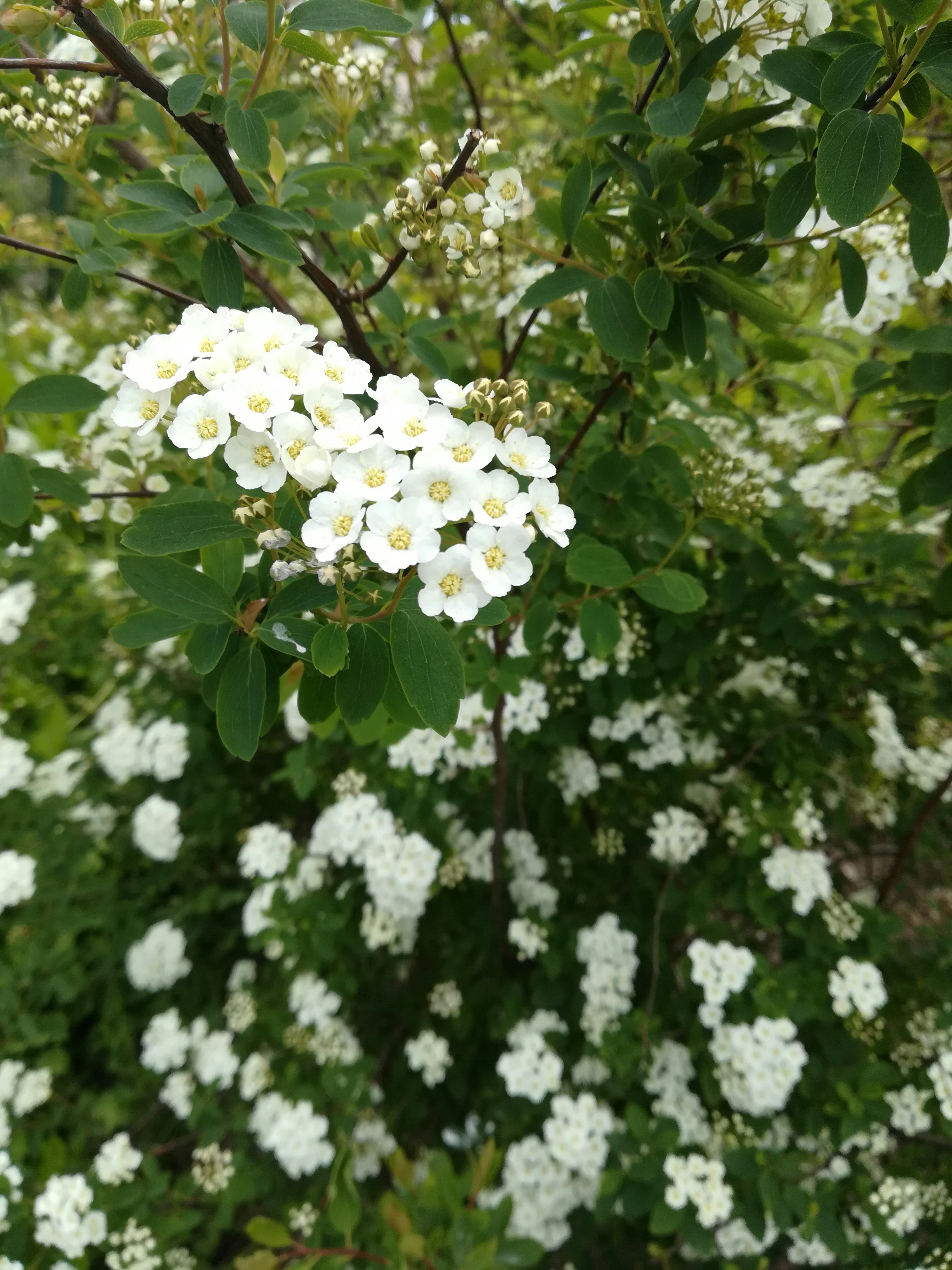 Photo by stepa_krakor