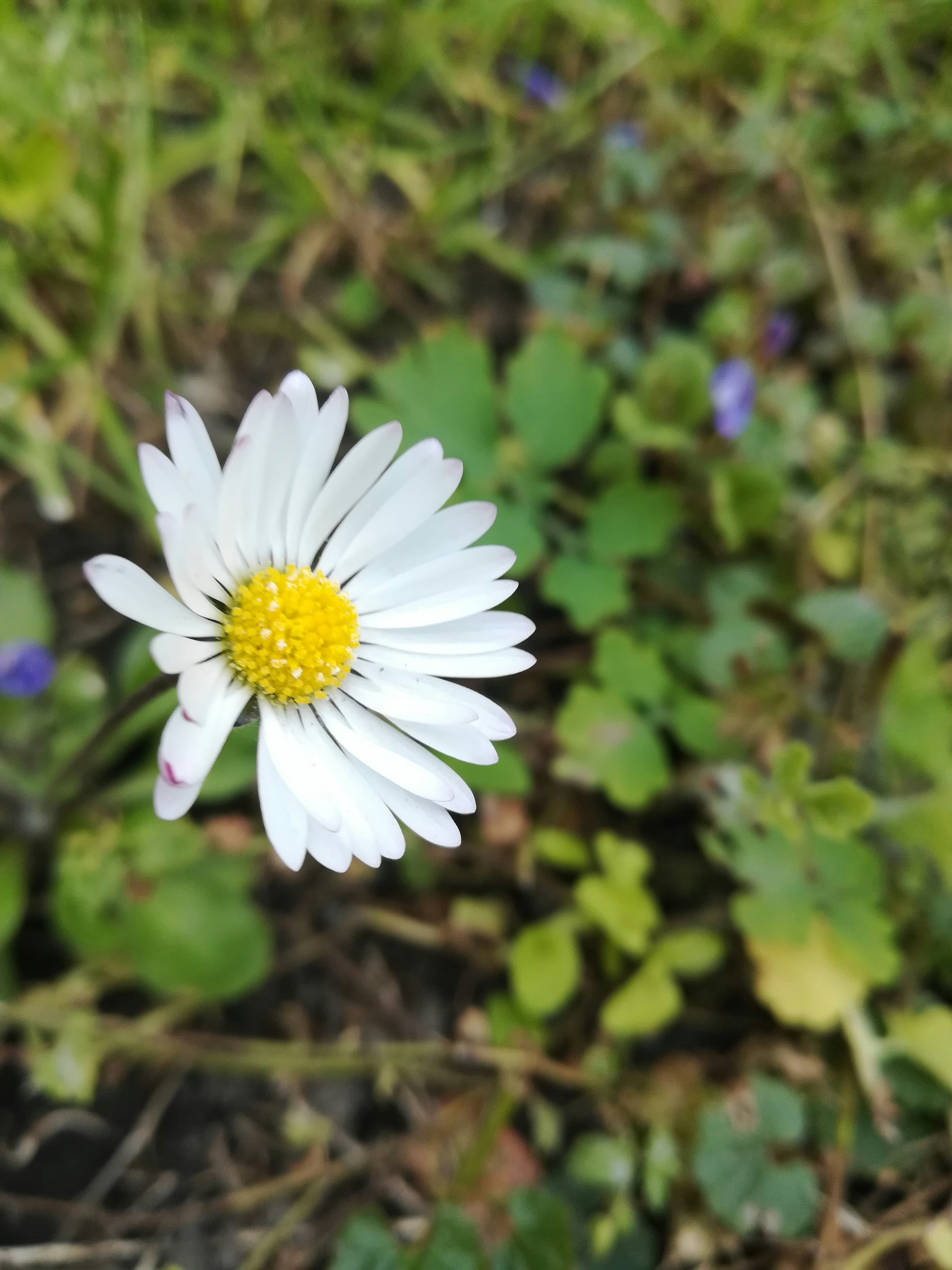 Photo by stepa_krakor