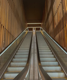 A pair of parallel escalators ascend between tall wooden walls, creating a symmetrical and modern architectural design. The lighting is soft with slight reflections on the glass sides of the escalators.
