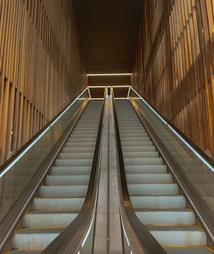 A pair of parallel escalators ascend between tall wooden walls, creating a symmetrical and modern architectural design. The lighting is soft with slight reflections on the glass sides of the escalators.