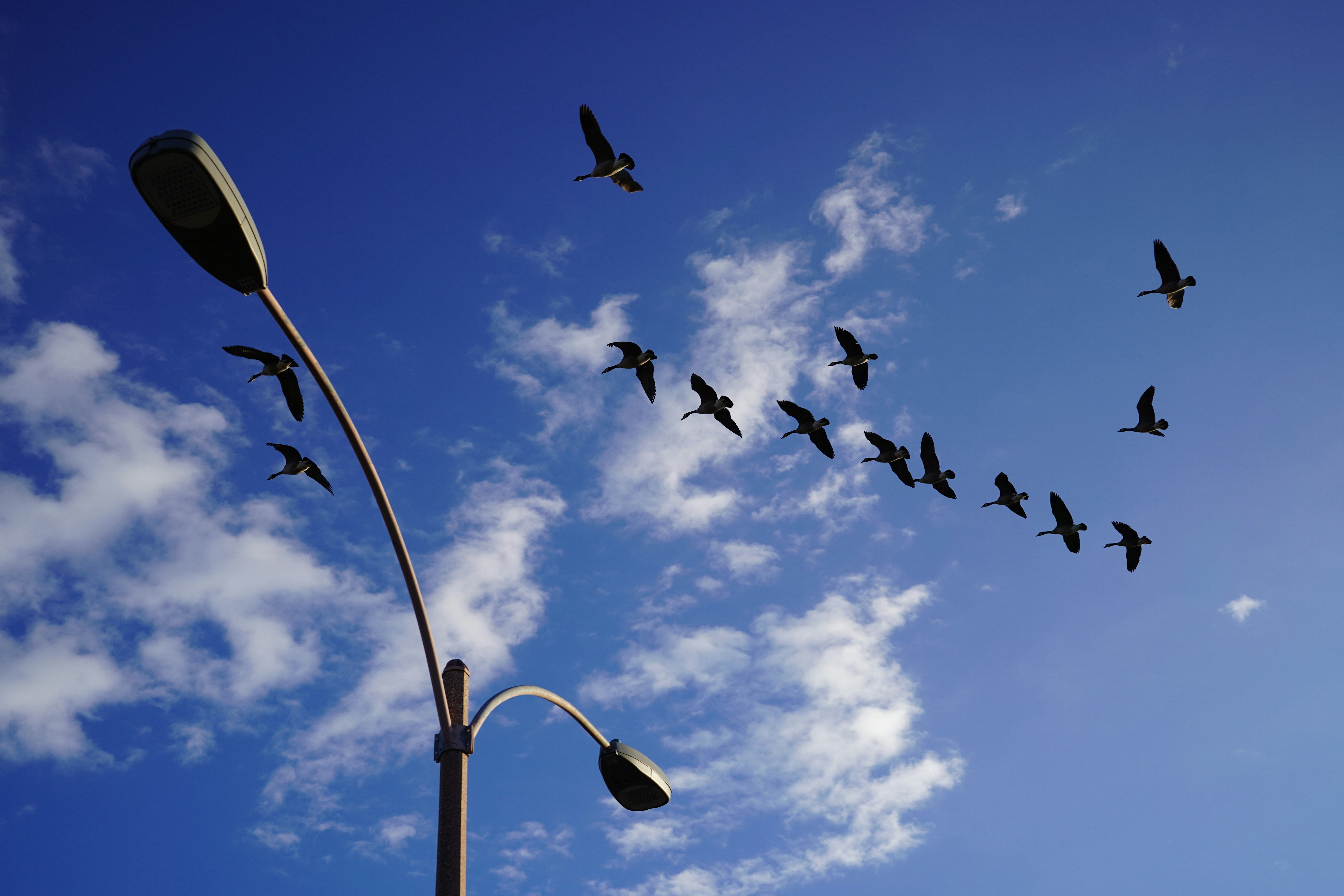 Photo by 0221inspiration