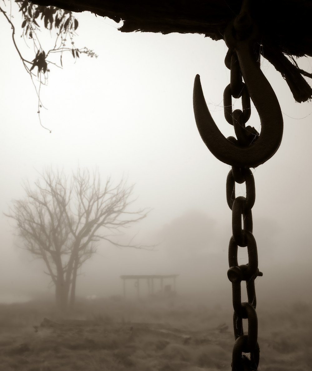 a chain hanging from a tree in the fog