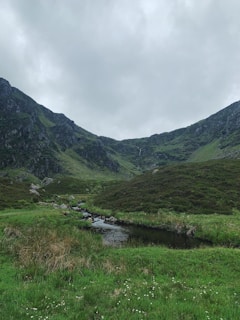 A serene and lush green valley surrounded by hills. A small stream meanders through the grassy landscape, with cloudy skies overhead.