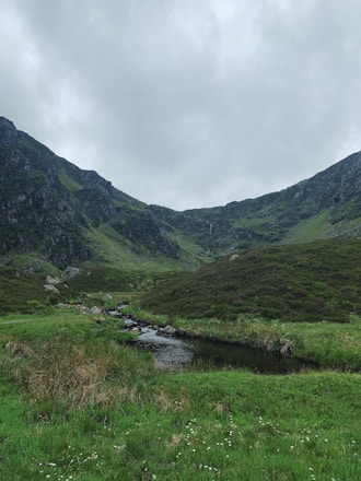 A serene and lush green valley surrounded by hills. A small stream meanders through the grassy landscape, with cloudy skies overhead.