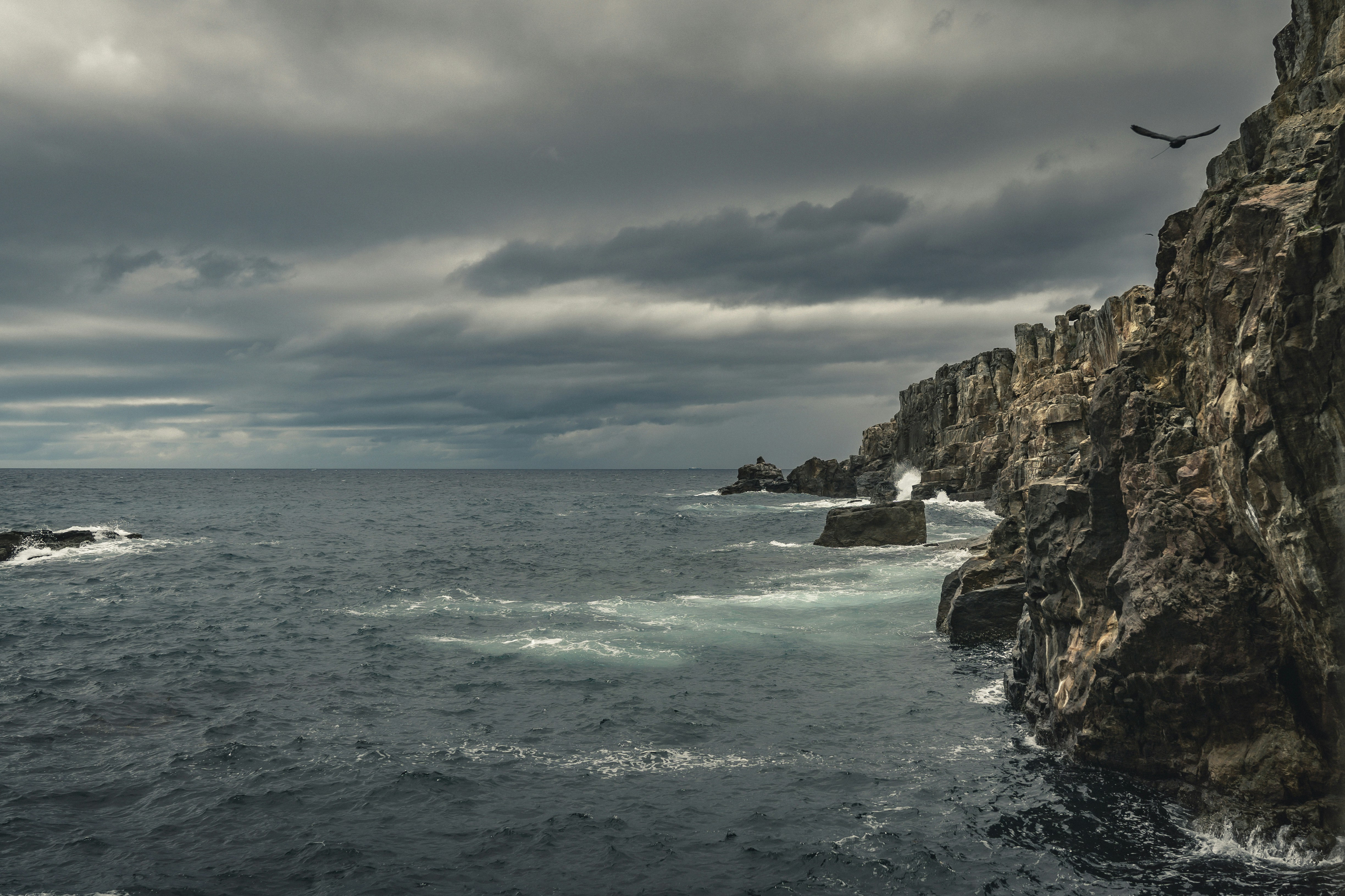 a bird flying over the ocean next to a rocky cliff