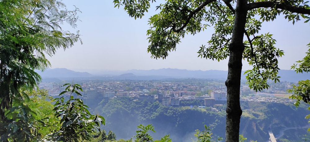 a scenic view of a city from a distance