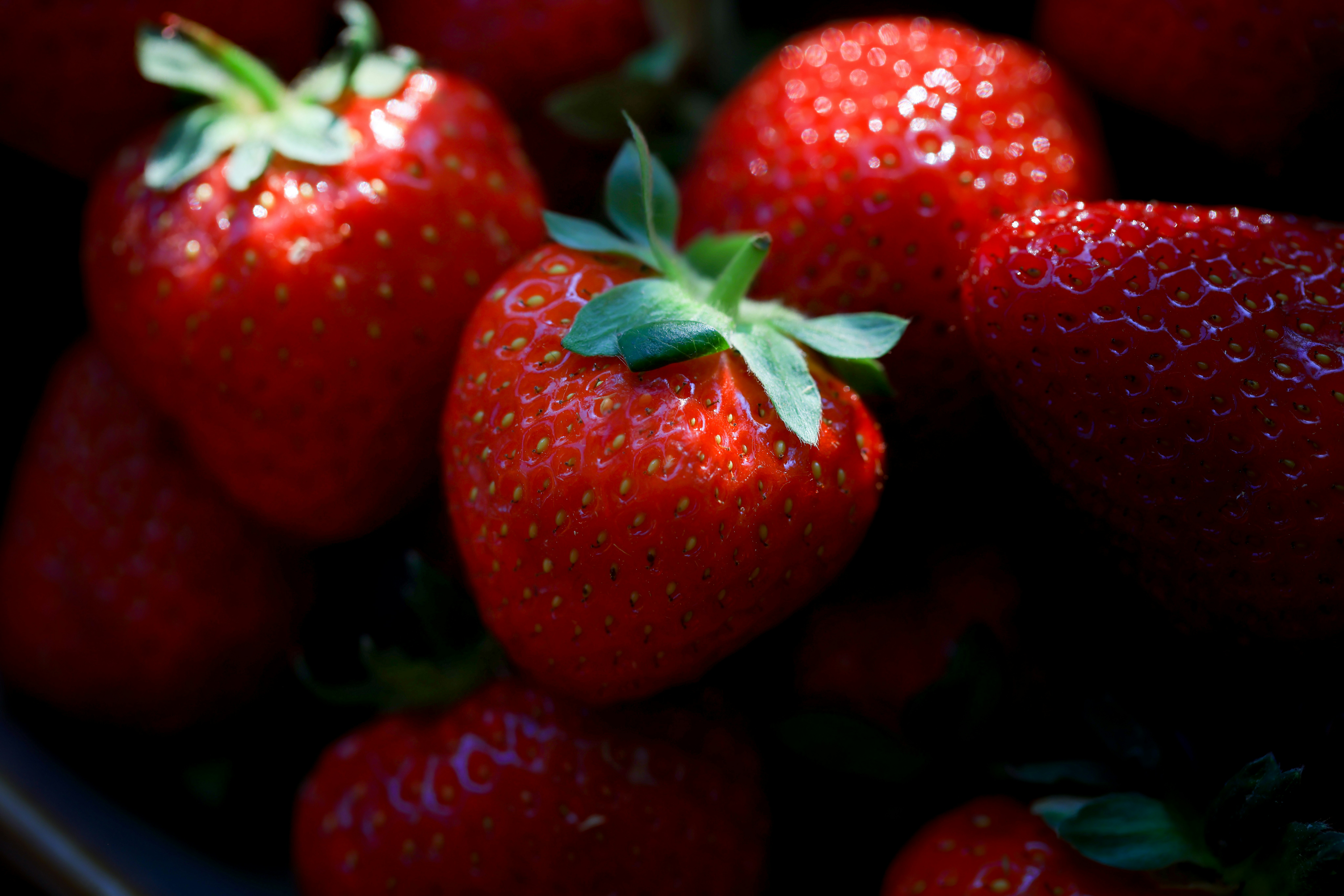 Photo by filipp_roman_photography