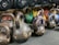 A collection of rusty gym weights and dumbbells arranged on a wooden floor.