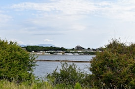 A serene landscape with a calm body of water in the foreground, surrounded by dense green shrubs and grass. In the background, a row of white mobile homes is visible, alongside a larger, more prominent building surrounded by trees. Mountains can be seen in the distant horizon under a partly cloudy sky.