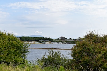 A serene landscape with a calm body of water in the foreground, surrounded by dense green shrubs and grass. In the background, a row of white mobile homes is visible, alongside a larger, more prominent building surrounded by trees. Mountains can be seen in the distant horizon under a partly cloudy sky.