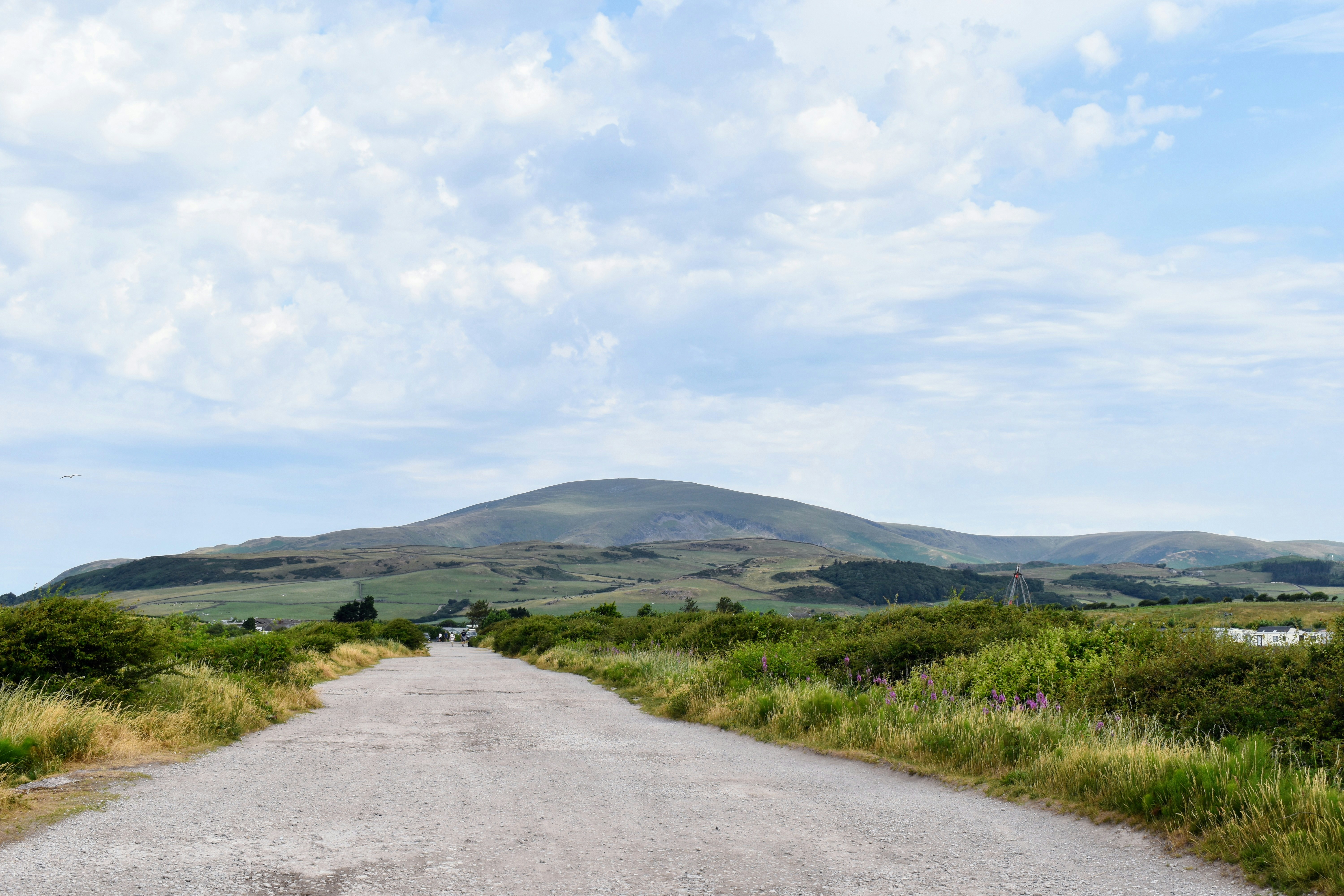 Photo by andrew_hall