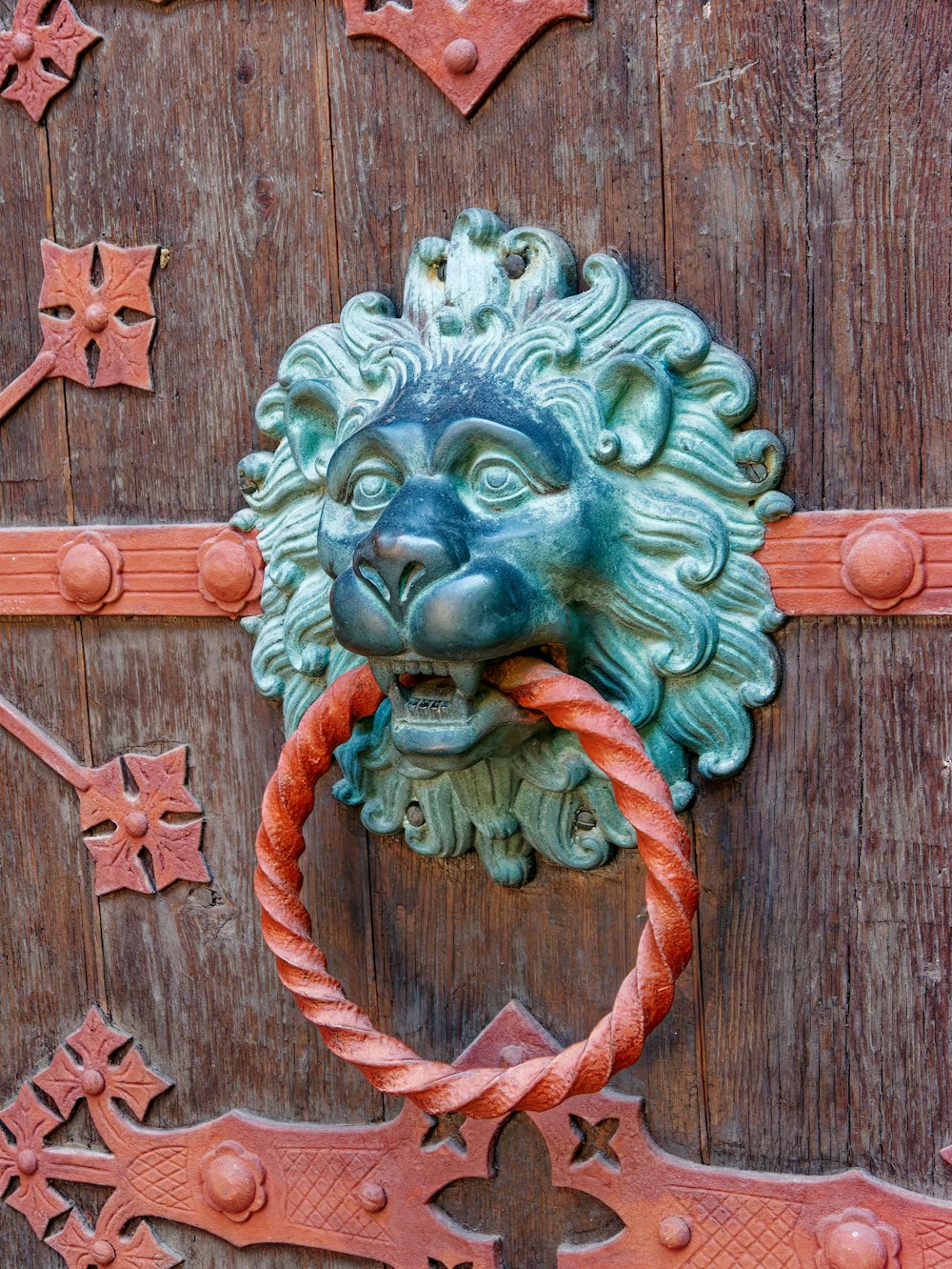ライオンの頭が木製のドアに取り付けられています