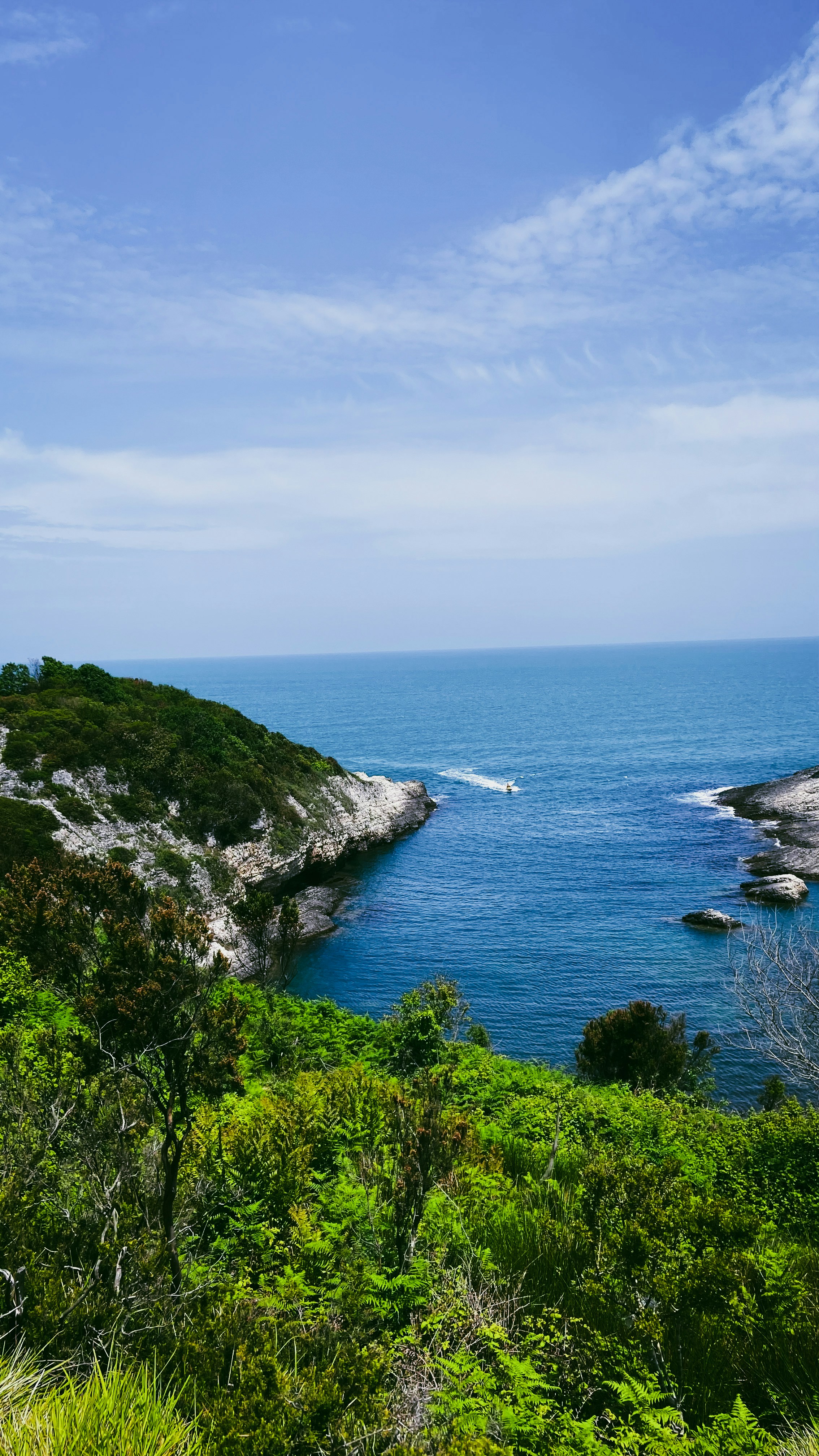 Photo by afsarturgay