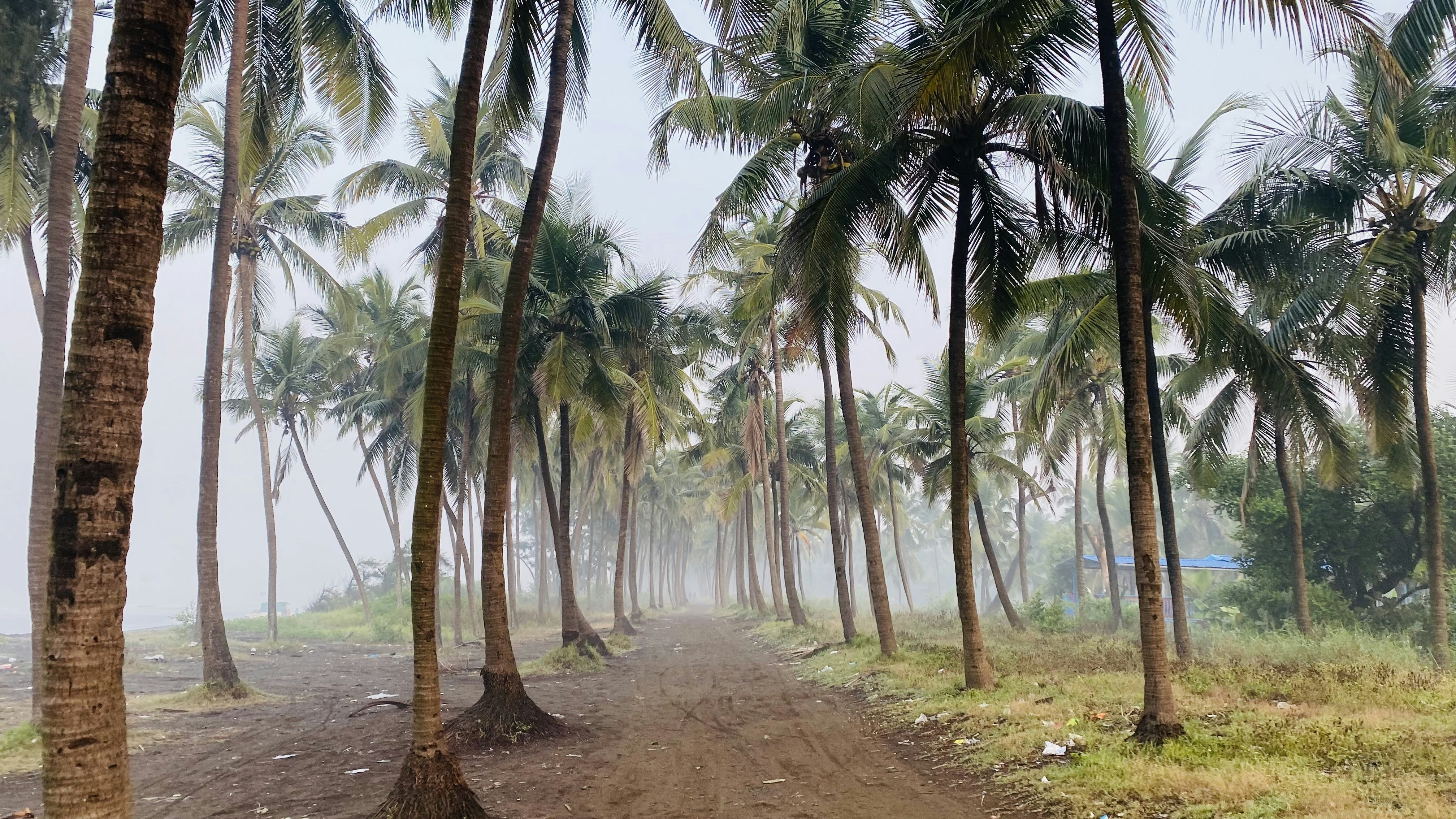 Photo by manoj_jangid007