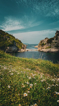 A vibrant coastal scene showing volunteers planting native vegetation to restore a damaged shoreline under a clear blue sky.