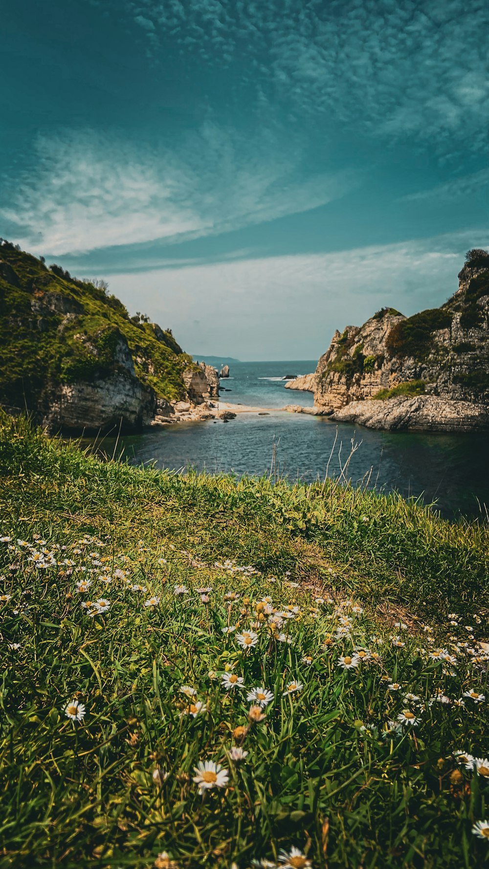 a view of a body of water from a grassy hill