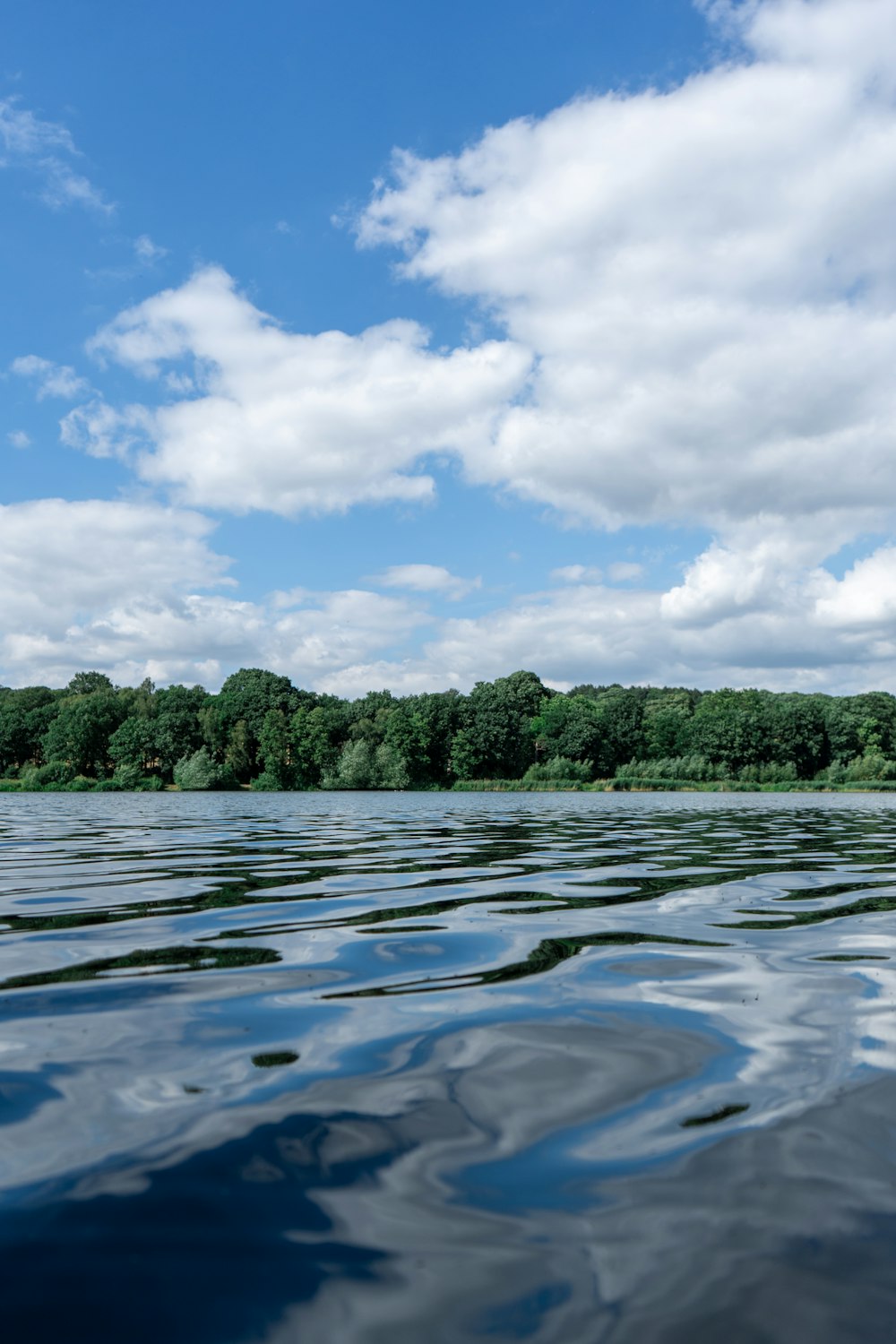 a body of water with trees in the background