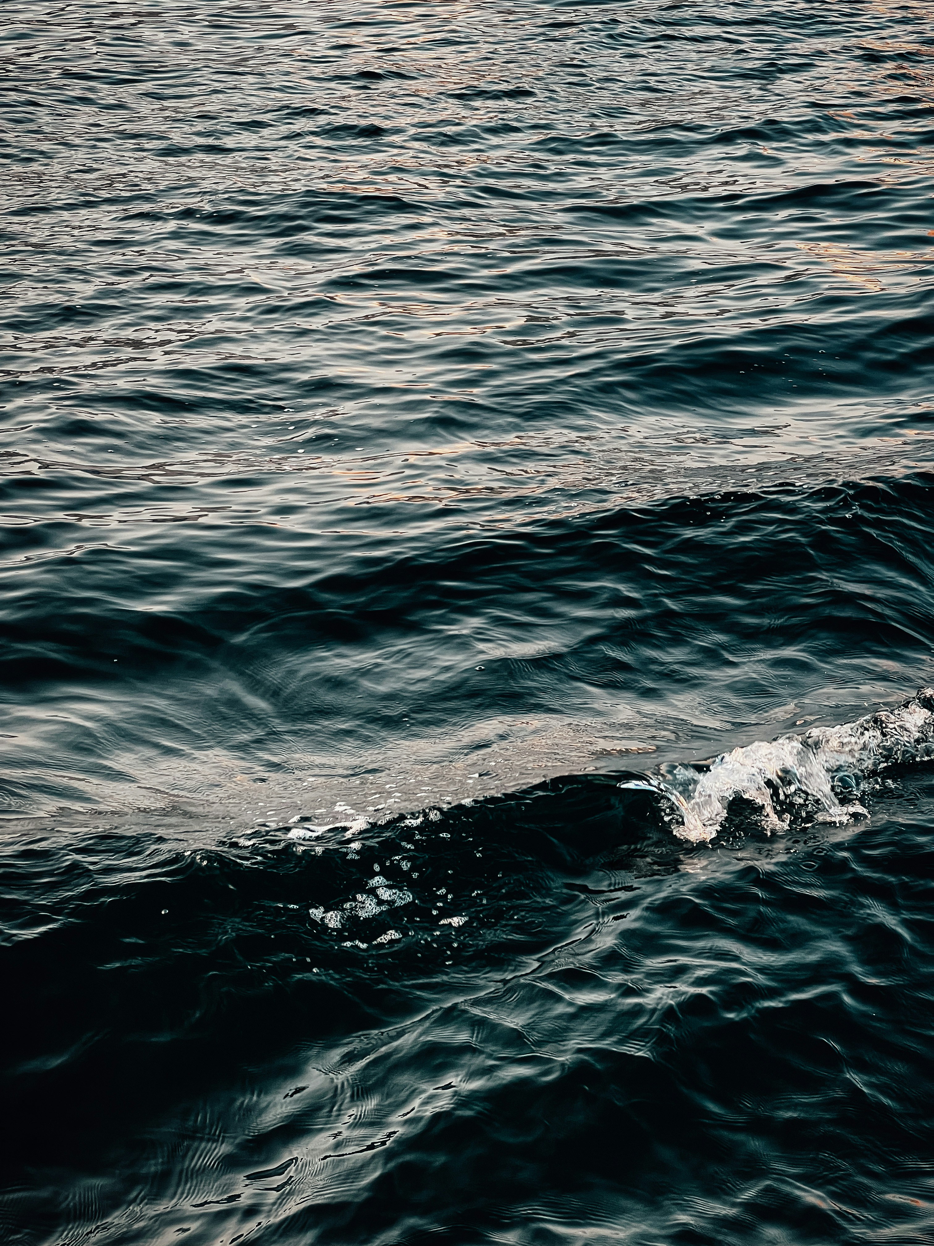 Photo by salman_sidheek