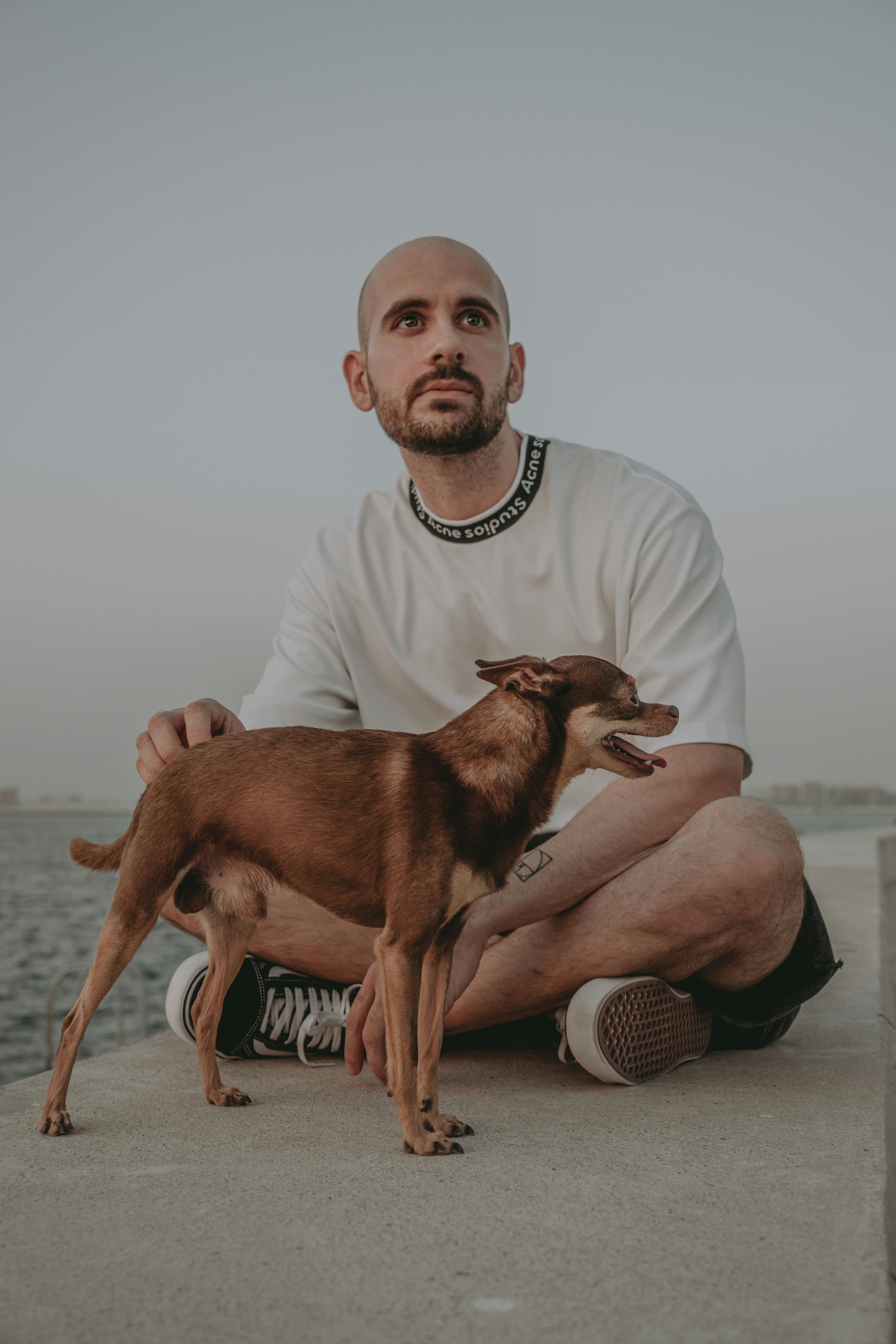 A man sitting on a ledge with a dog photo – Free Portrait Image on Unsplash